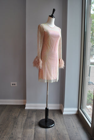 CHAMPAGNE / BLUSH PINK SHEER DRESS WITH CRYSTALS AND FEATHERS