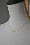 CAPRICORN DELICATE NECKLACE