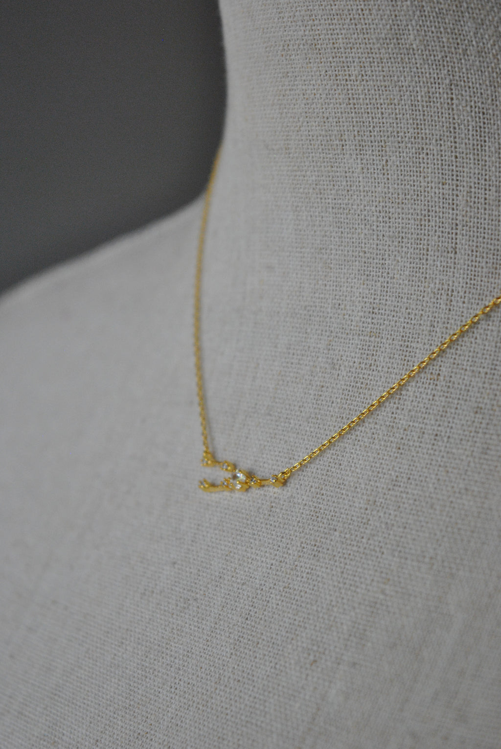 TAURUS GOLD DELICATE NECKLACE